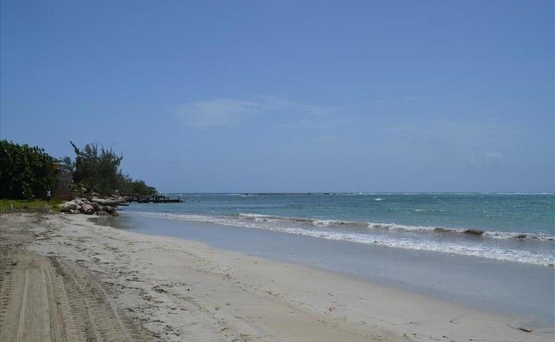 Ocho Rios Under The Palms Villa ภายนอก รูปภาพ