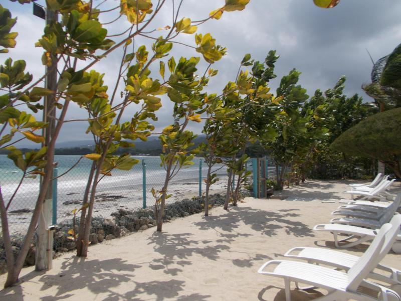 Ocho Rios Under The Palms Villa ภายนอก รูปภาพ