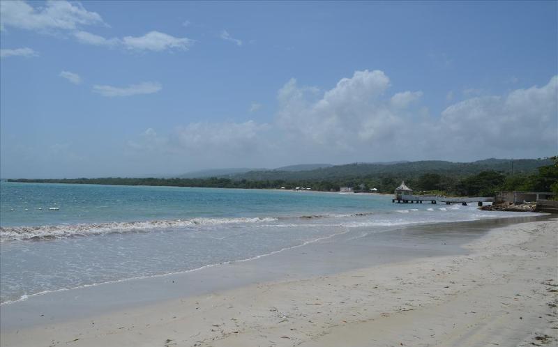 Ocho Rios Under The Palms Villa ภายนอก รูปภาพ
